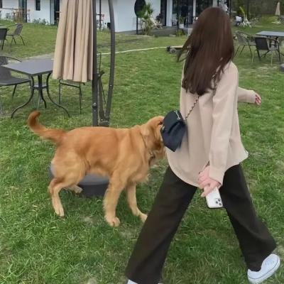 良宵血案